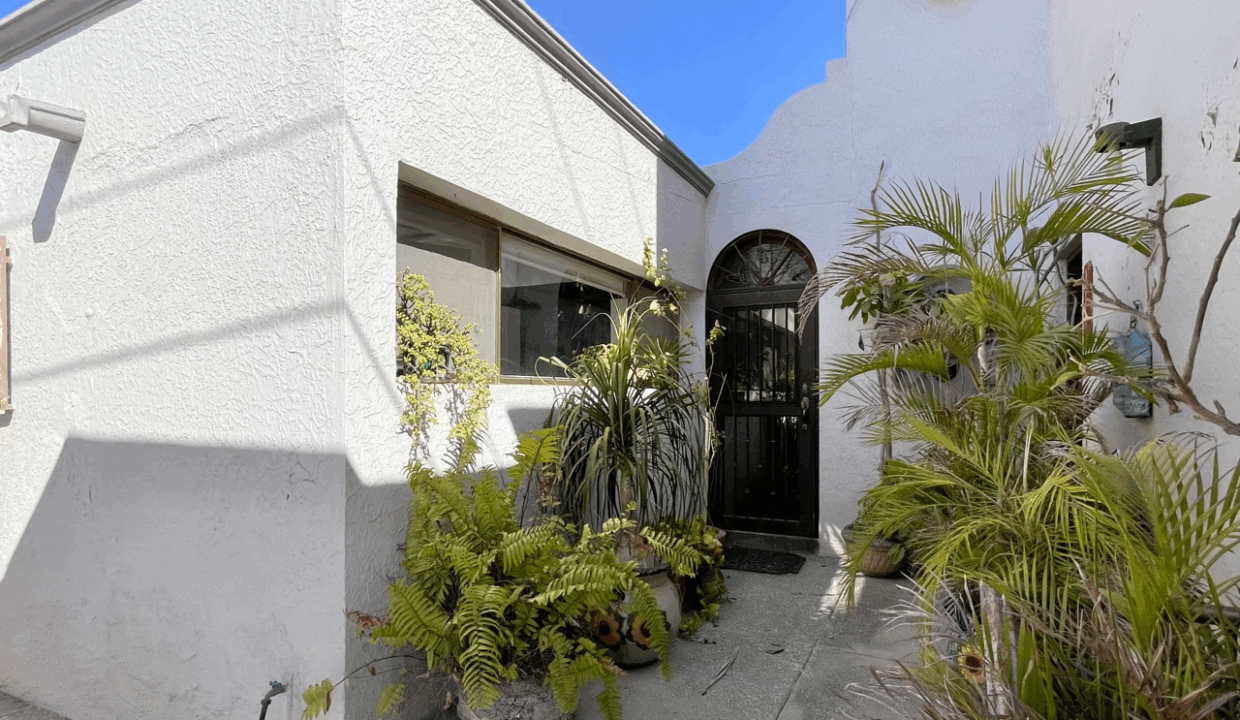 IMG_3289 de tamaño grande