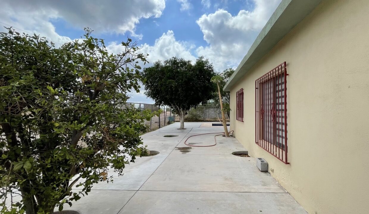 IMG_4118 de tamaño grande