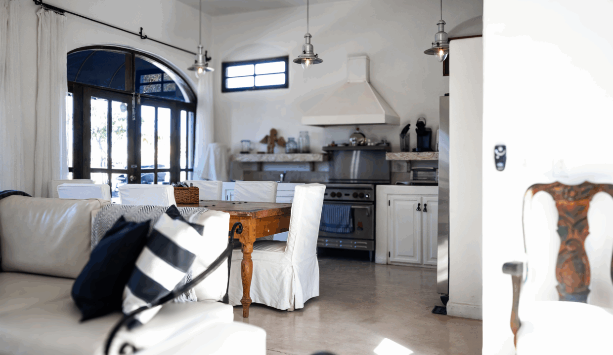 CARACOL PENINSULA NEIL BOSCH (1) de tamaño grande