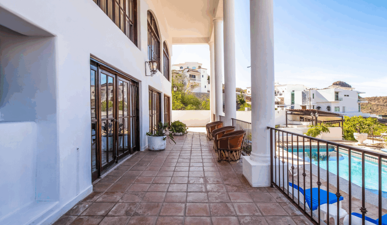 CARACOL PENINSULA NEIL BOSCH (12) de tamaño grande