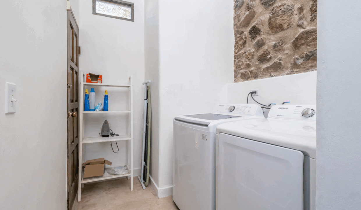 CARACOL PENINSULA NEIL BOSCH (16) de tamaño grande