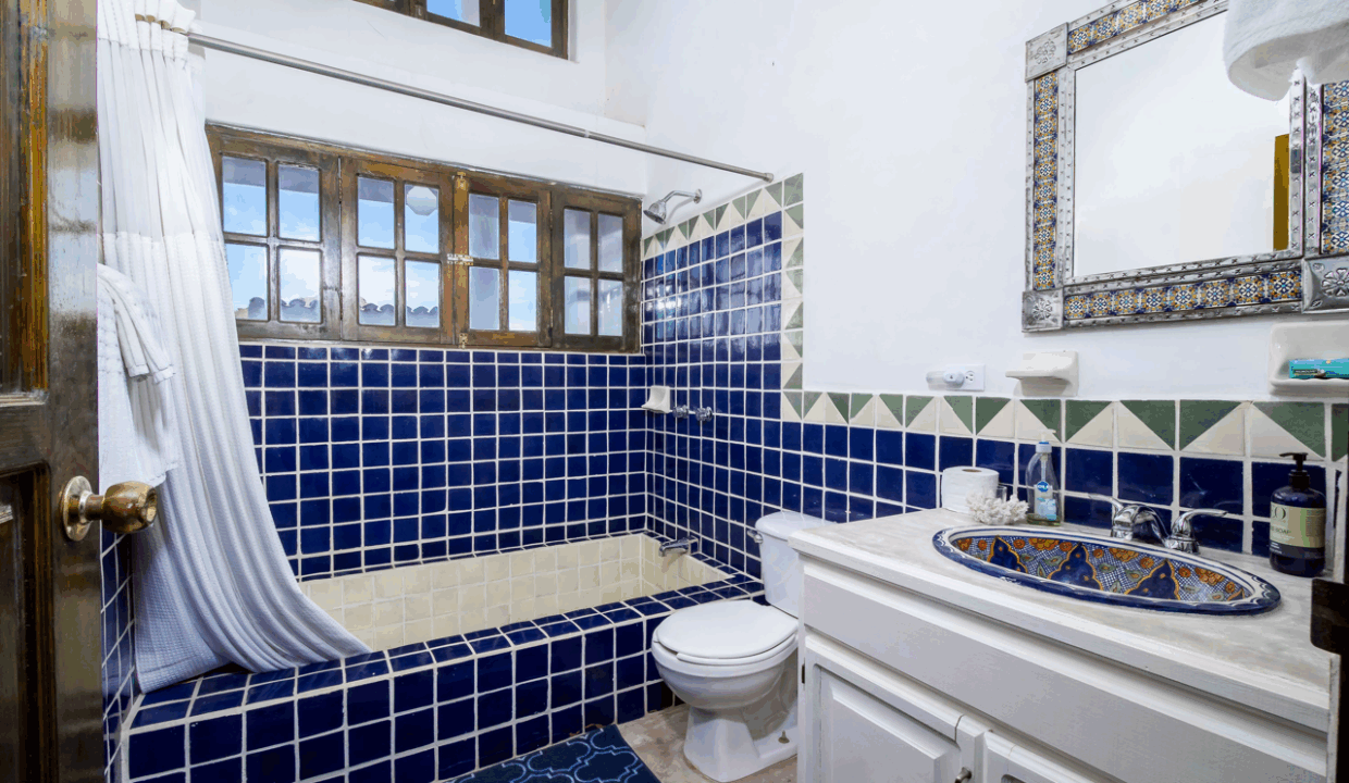 CARACOL PENINSULA NEIL BOSCH (17) de tamaño grande