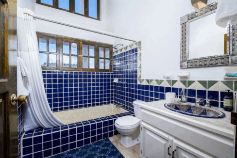 CARACOL PENINSULA NEIL BOSCH (17) de tamaño grande