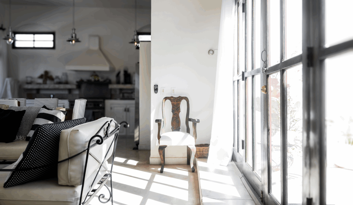 CARACOL PENINSULA NEIL BOSCH (2) de tamaño grande