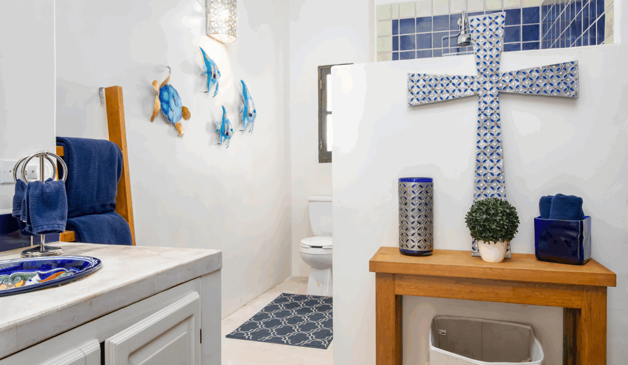 CARACOL PENINSULA NEIL BOSCH (20) de tamaño grande