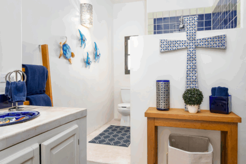 CARACOL PENINSULA NEIL BOSCH (20) de tamaño grande