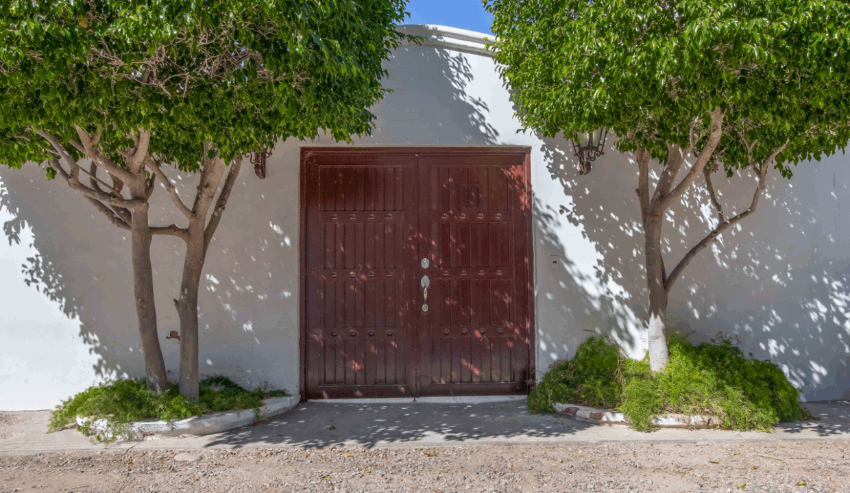 CARACOL PENINSULA NEIL BOSCH (23) de tamaño grande