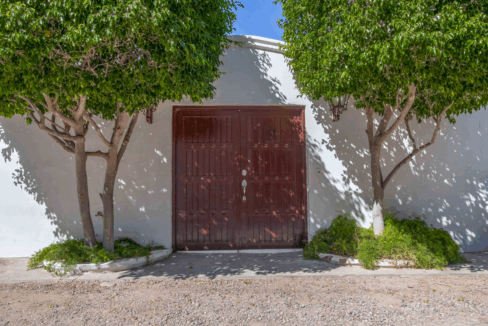 CARACOL PENINSULA NEIL BOSCH (23) de tamaño grande