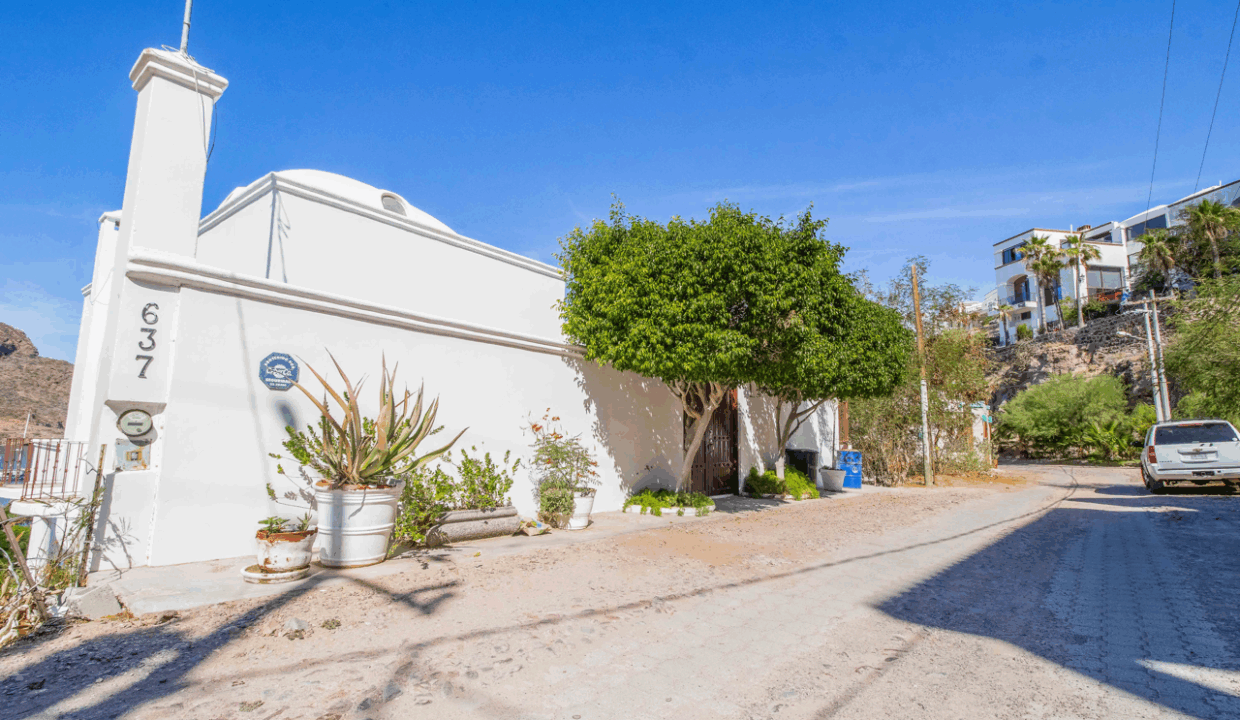 CARACOL PENINSULA NEIL BOSCH (24) de tamaño grande