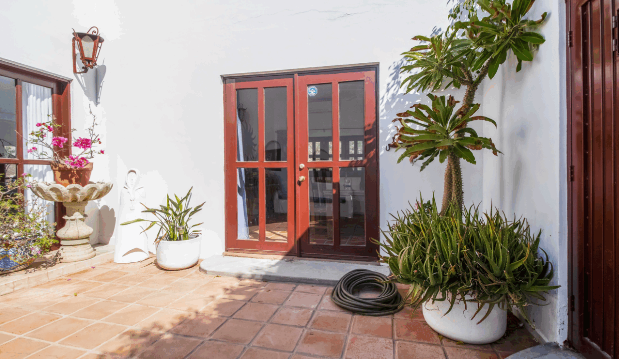 CARACOL PENINSULA NEIL BOSCH (26) de tamaño grande