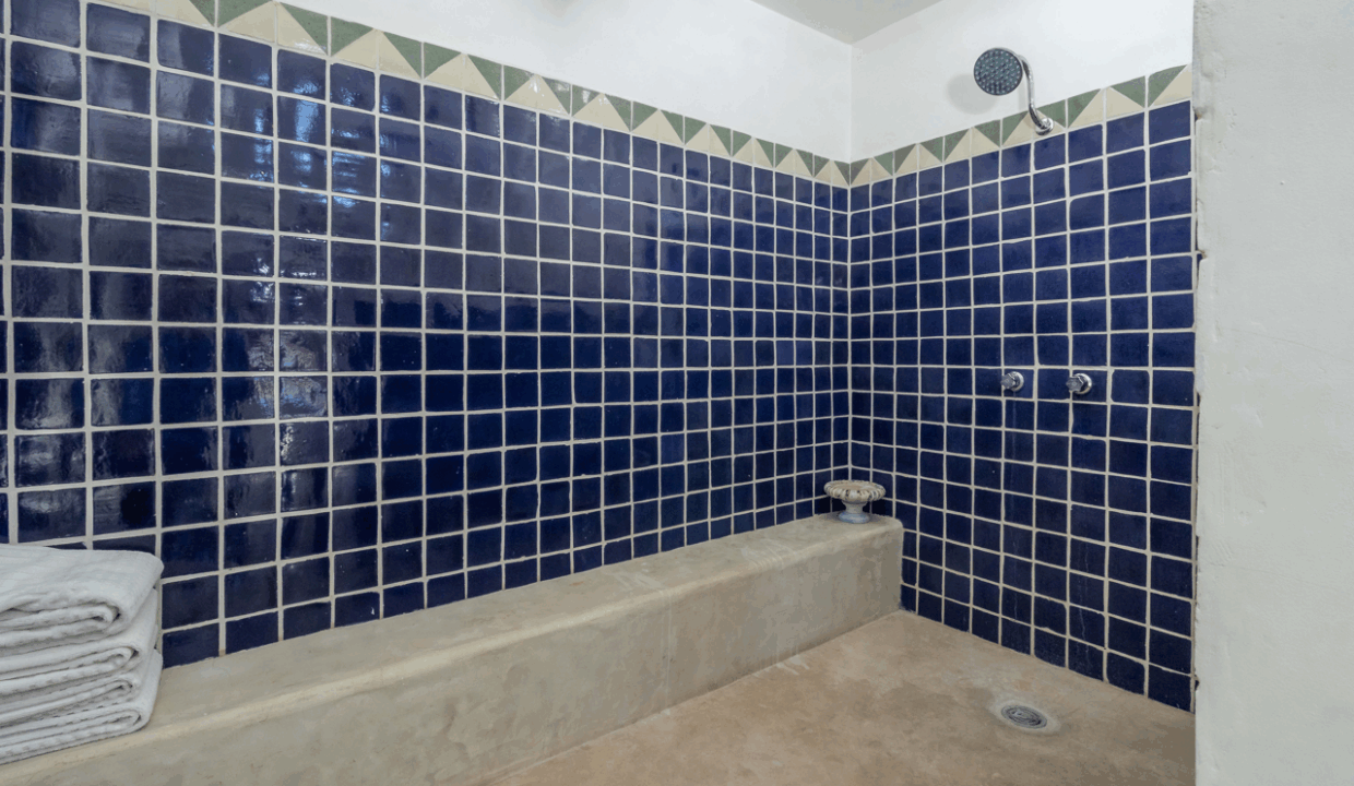 CARACOL PENINSULA NEIL BOSCH (30) de tamaño grande