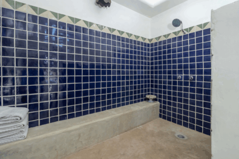 CARACOL PENINSULA NEIL BOSCH (30) de tamaño grande