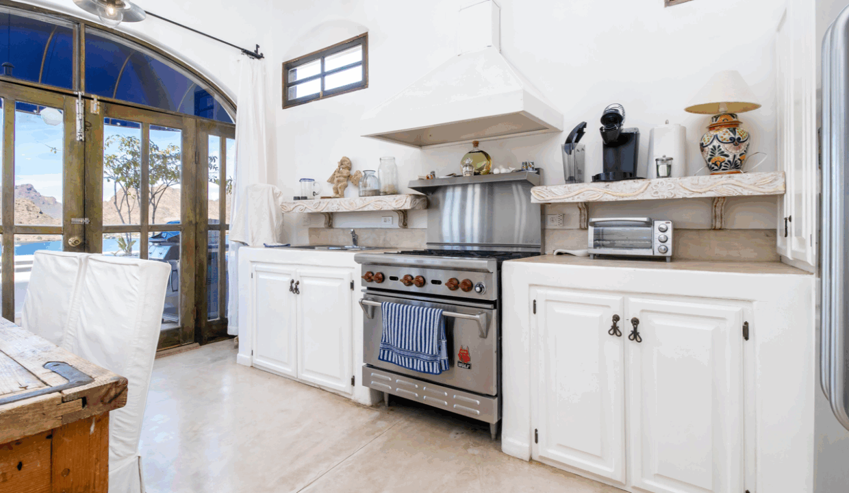 CARACOL PENINSULA NEIL BOSCH (34) de tamaño grande