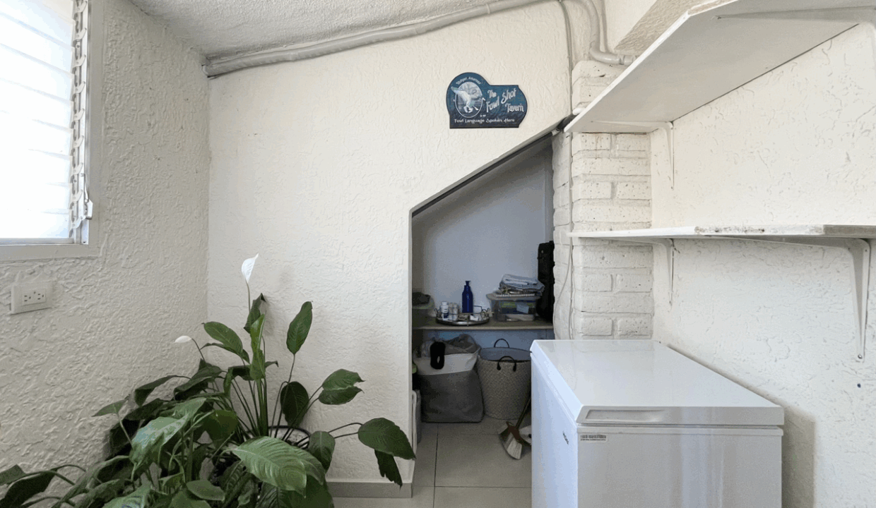 IMG_8384 de tamaño grande