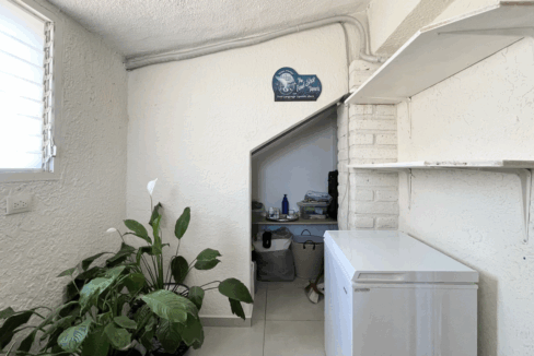 IMG_8384 de tamaño grande