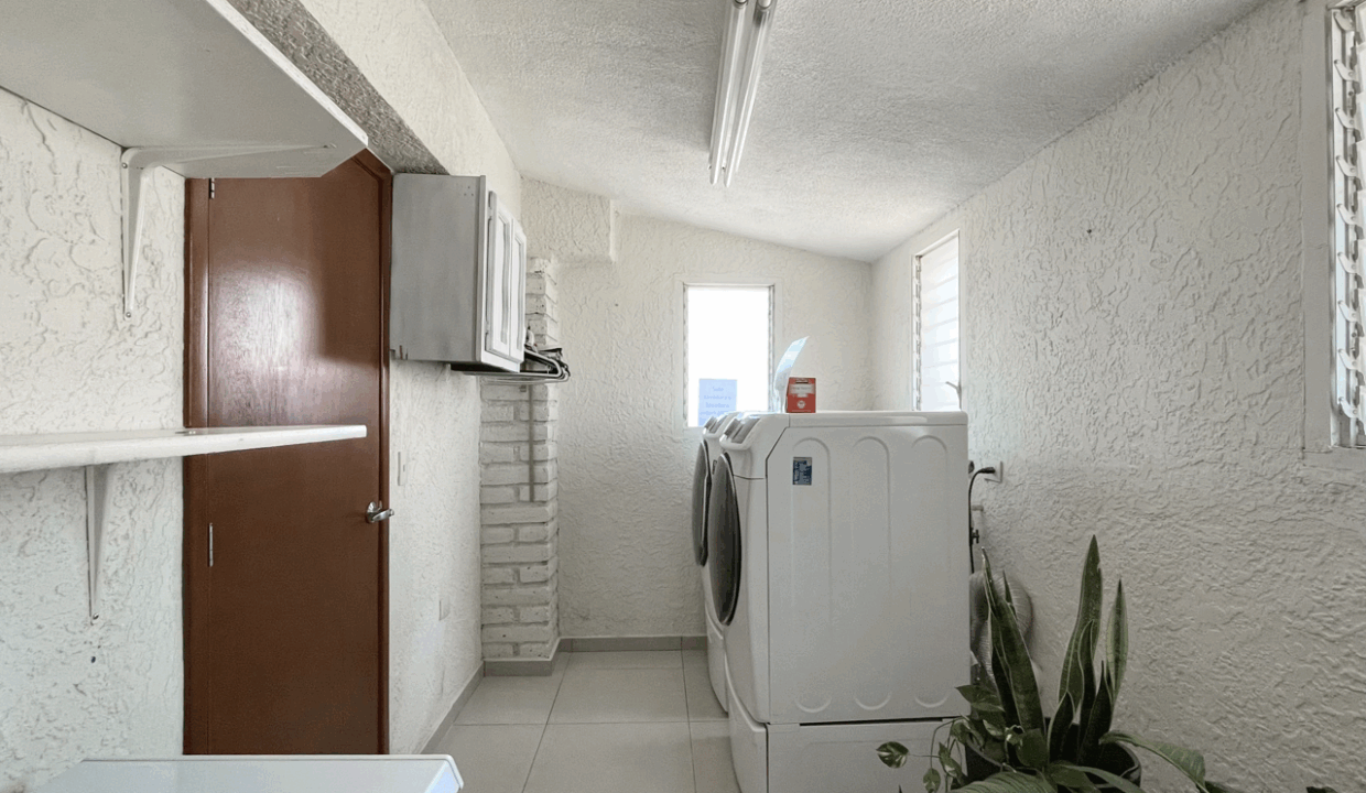 IMG_8388 de tamaño grande