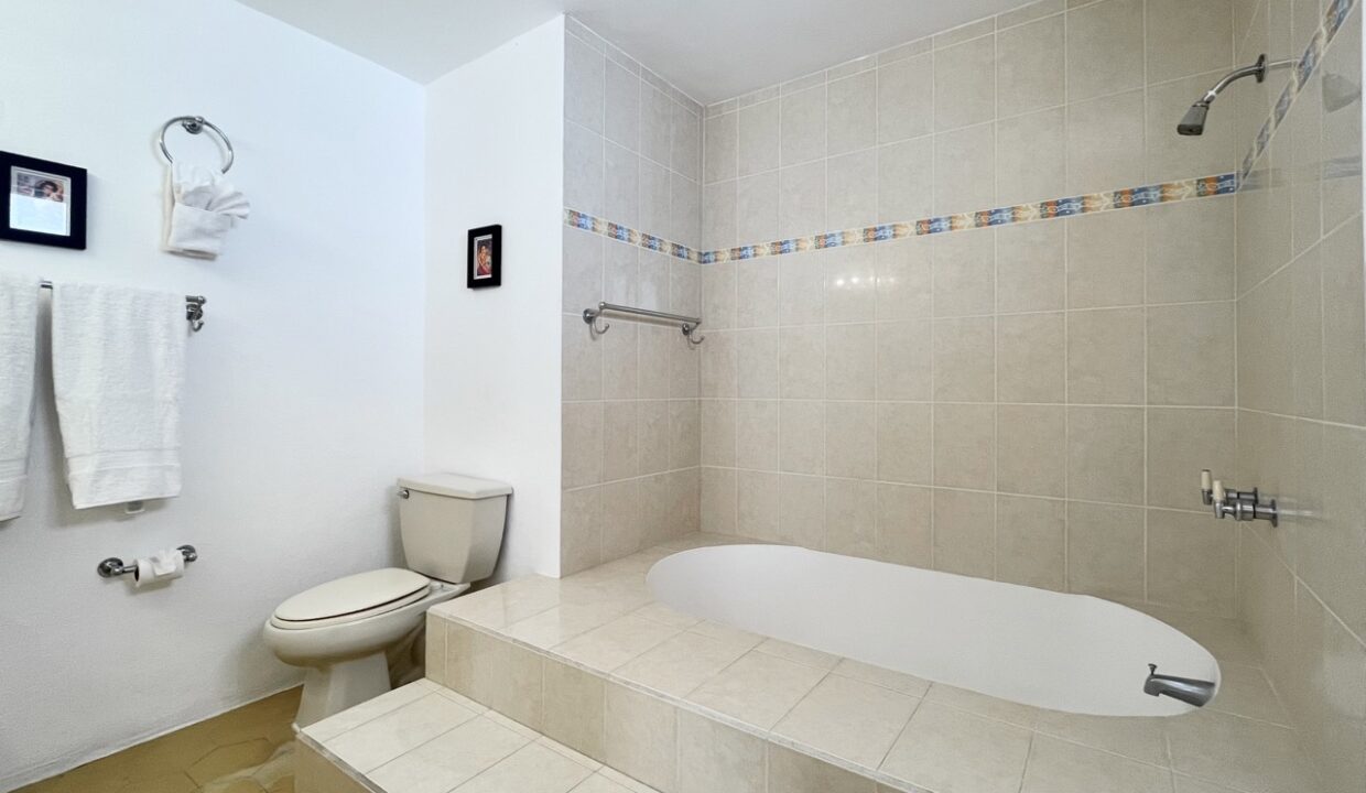 IMG_3143 de tamaño grande