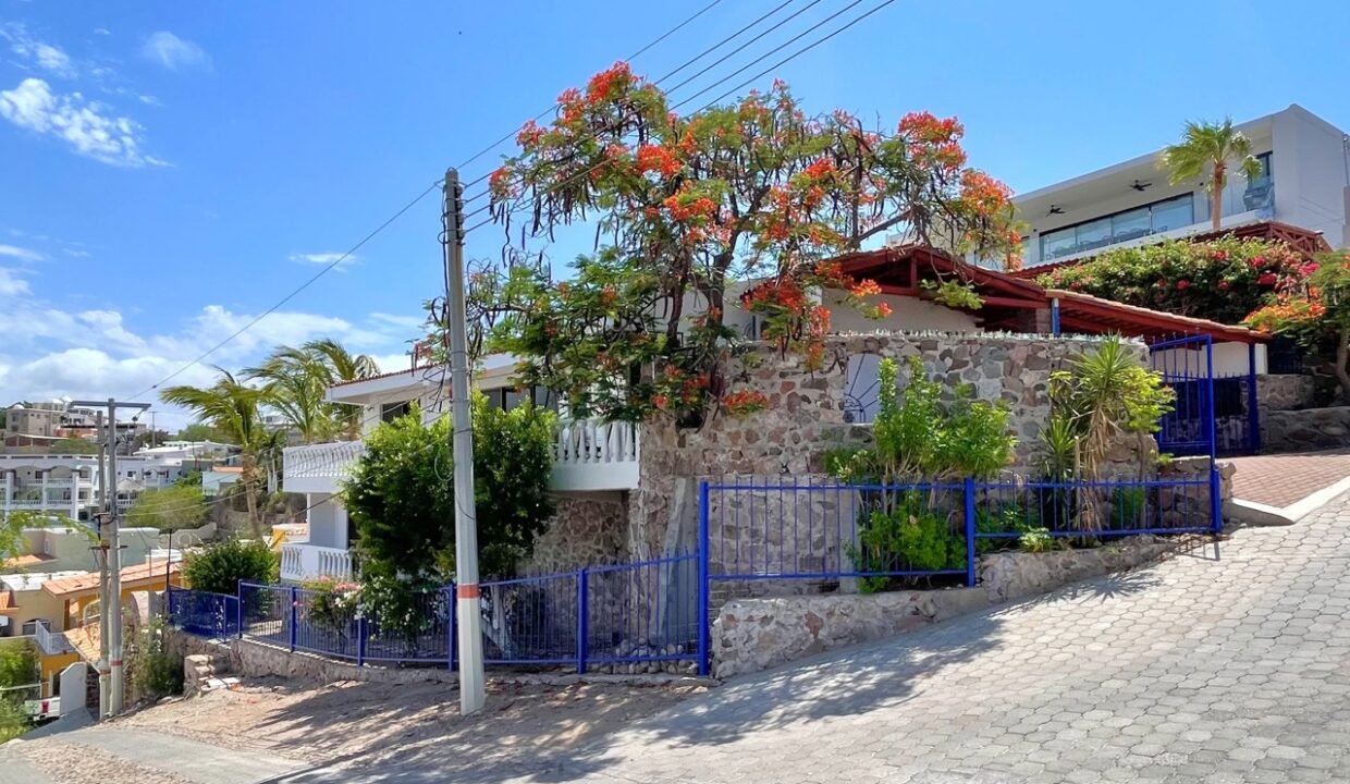 IMG_4442 de tamaño grande