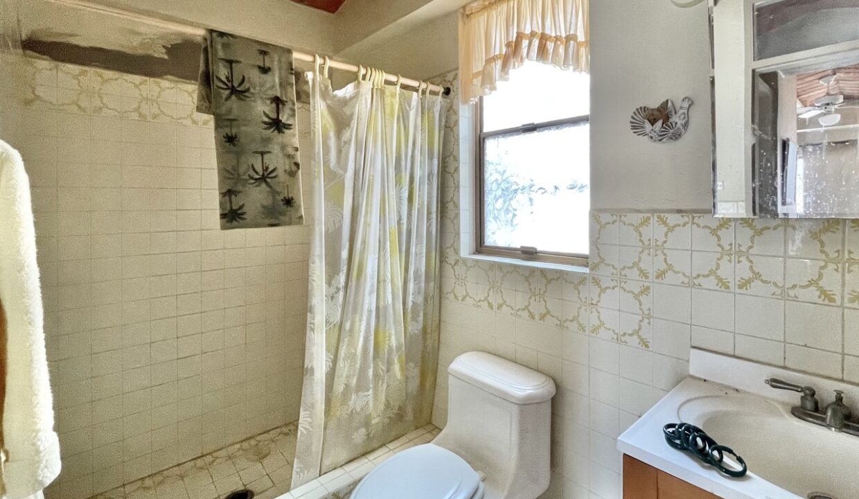 IMG_4606 de tamaño grande