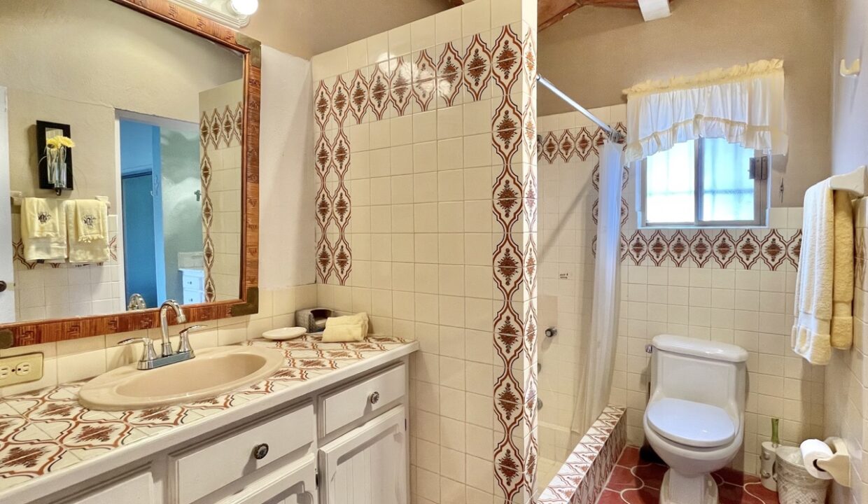 IMG_4521 de tamaño grande