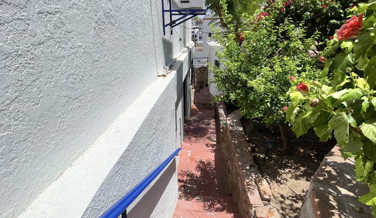 IMG_4592 de tamaño grande